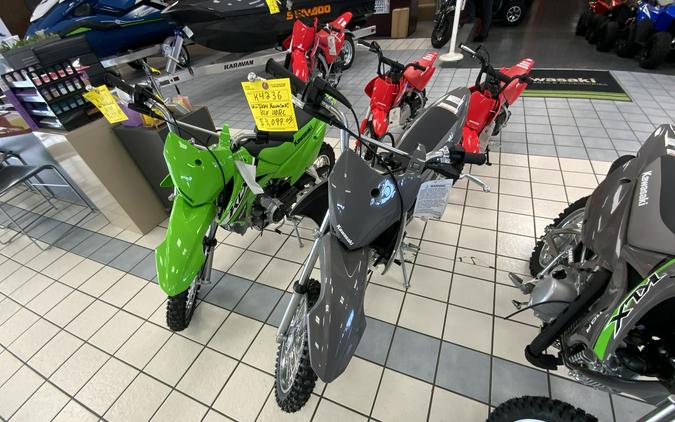 2024 Kawasaki KLX® 110R L