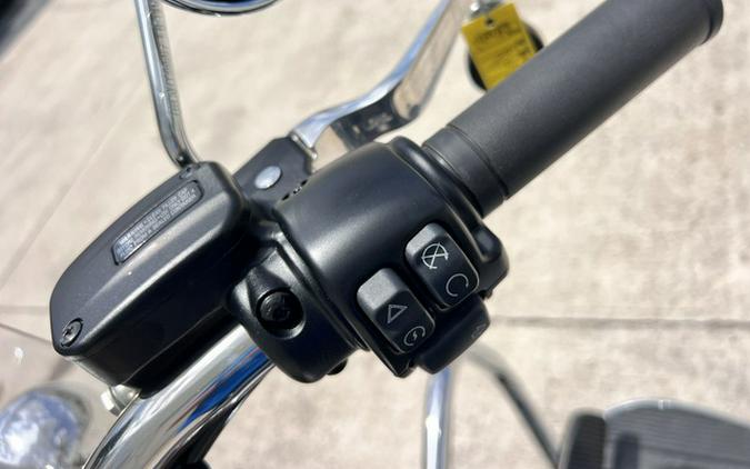 2019 Harley-Davidson Softail FLDE - Deluxe