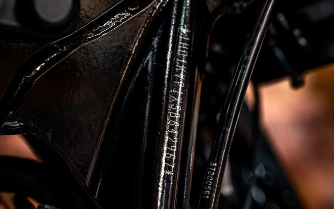 2025 Harley-Davidson Road King Special