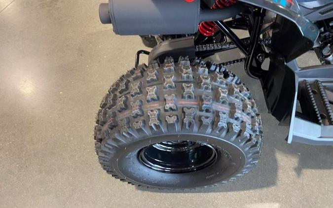 2026 Can-Am® Renegade 110 EFI