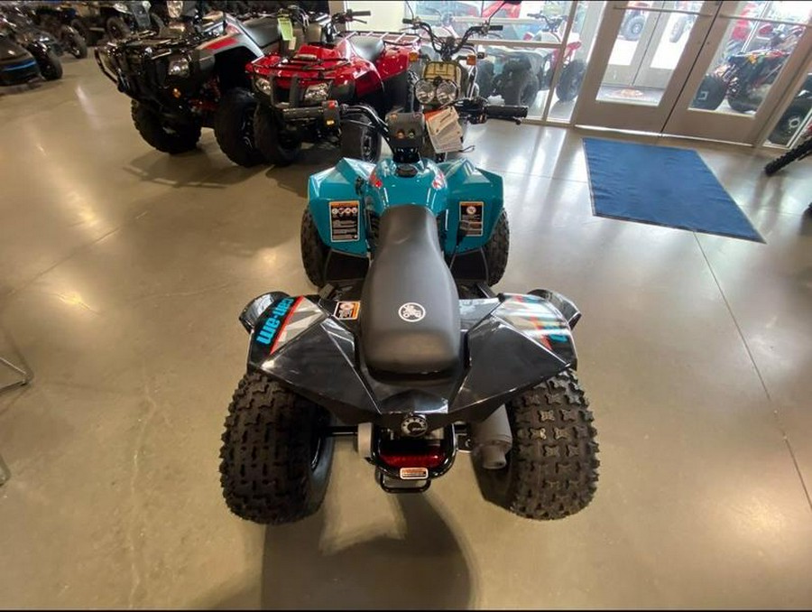 2026 Can-Am® Renegade 110 EFI