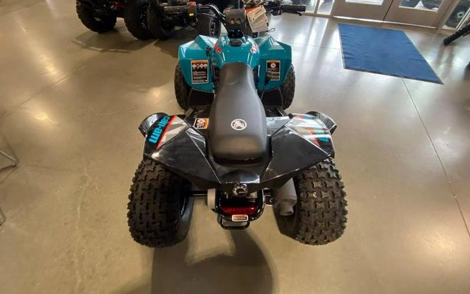 2026 Can-Am® Renegade 110 EFI