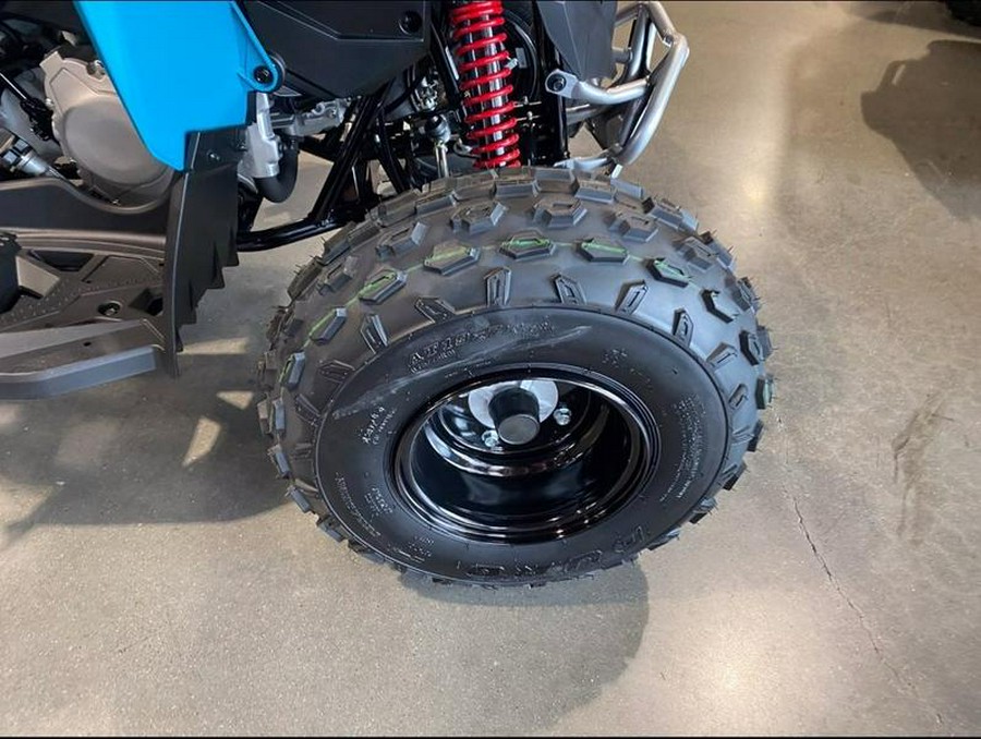 2026 Can-Am® Renegade 110 EFI