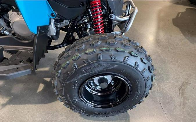 2026 Can-Am® Renegade 110 EFI