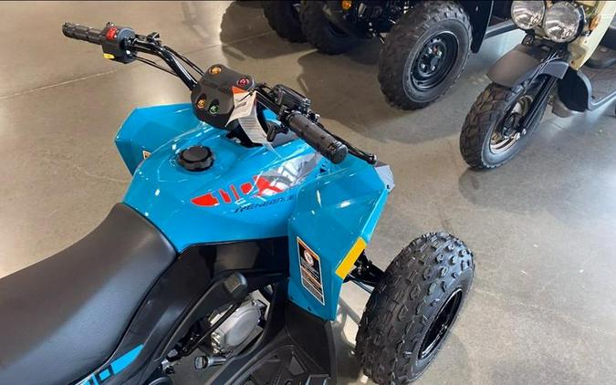 2026 Can-Am® Renegade 110 EFI
