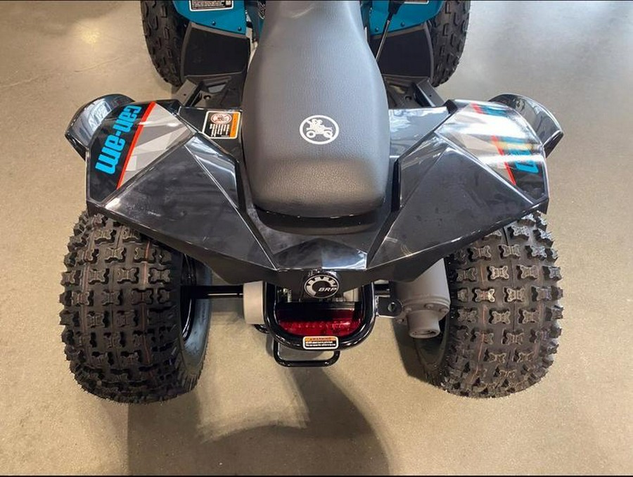 2026 Can-Am® Renegade 110 EFI