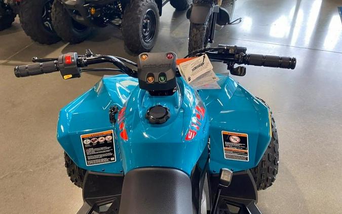 2026 Can-Am® Renegade 110 EFI