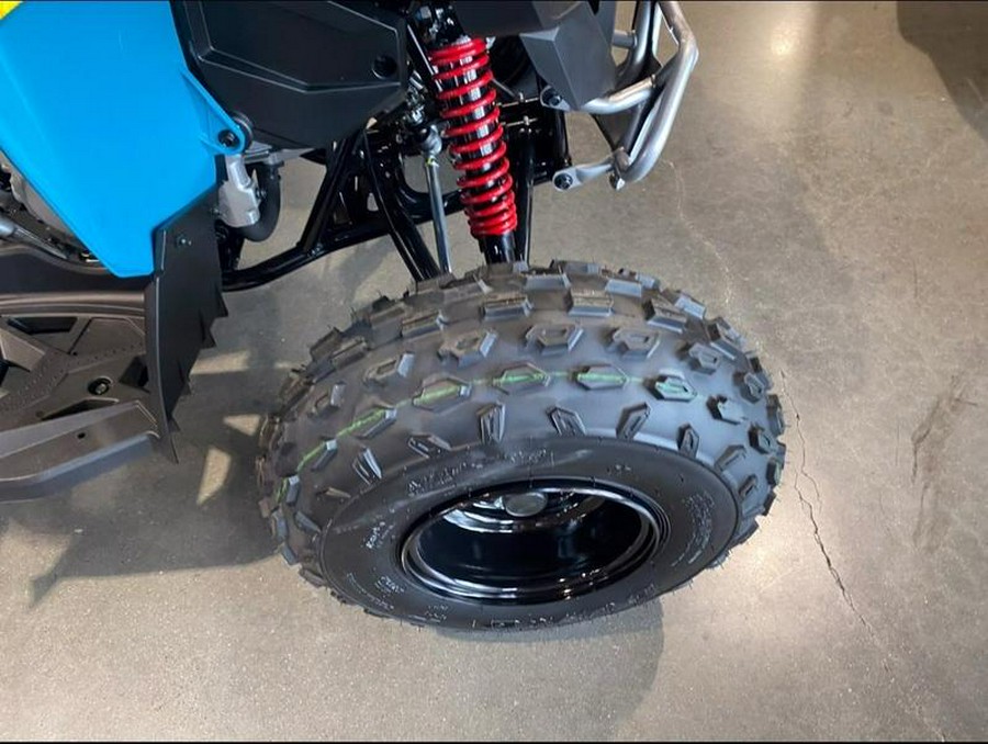 2026 Can-Am® Renegade 110 EFI