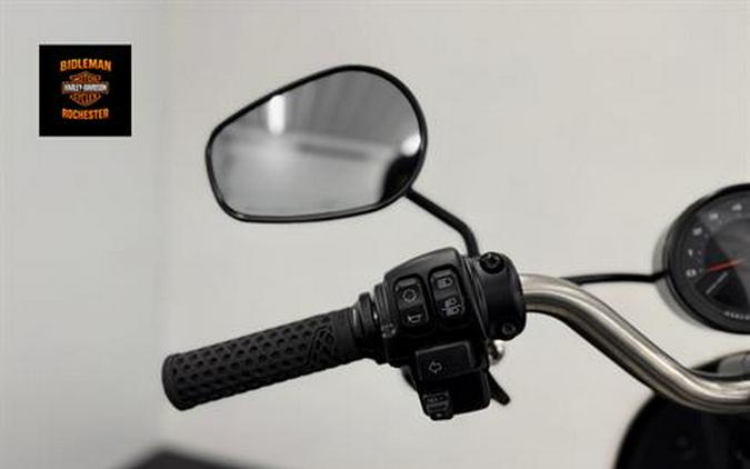 2023 Harley-Davidson Low Rider® S