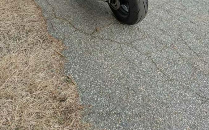 2024 Suzuki Hayabusa 1340