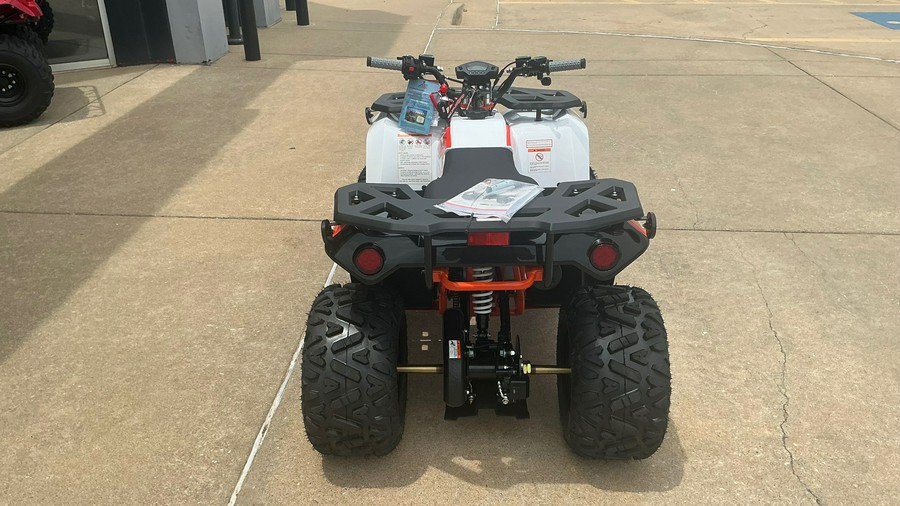 2026 Kayo BULL 125 EFI
