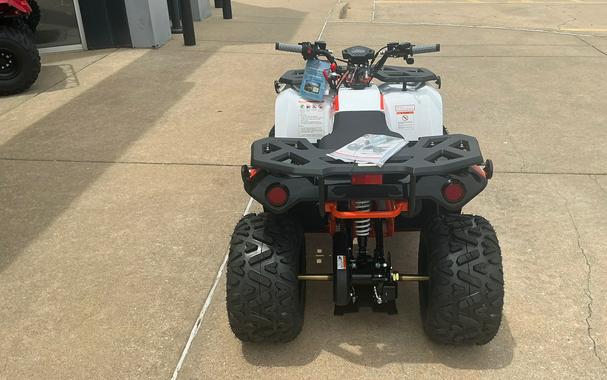 2026 Kayo BULL 125 EFI