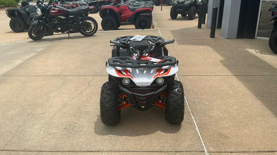 2026 Kayo BULL 125 EFI