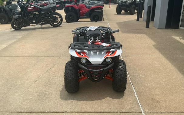 2026 Kayo BULL 125 EFI