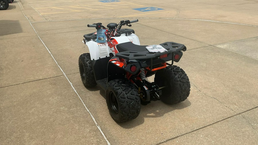 2026 Kayo BULL 125 EFI