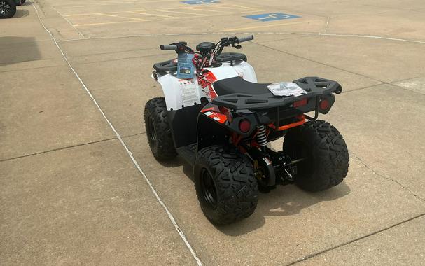 2026 Kayo BULL 125 EFI