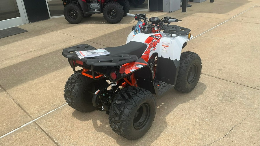 2026 Kayo BULL 125 EFI