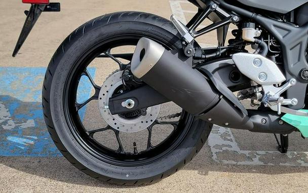 2026 Yamaha YZFR3ATGR