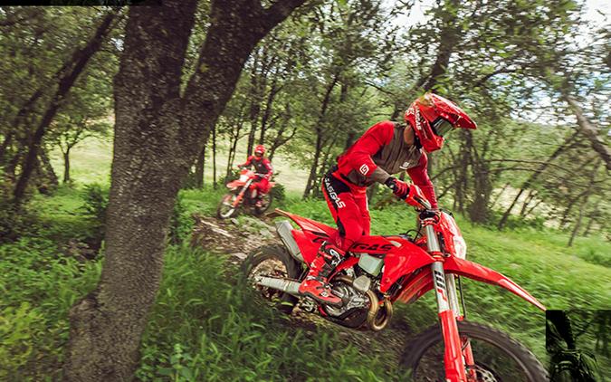 2025 Gas Gas EC 450F - G310696G