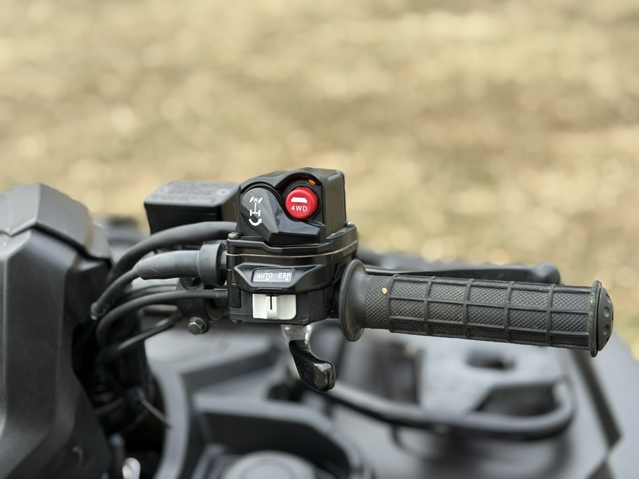 2024 Honda FourTrax Foreman Rubicon 4x4 Automatic DCT EPS