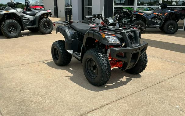 2026 Kayo BULL 150 EFI