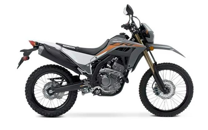 2024 Honda® CRF300LS