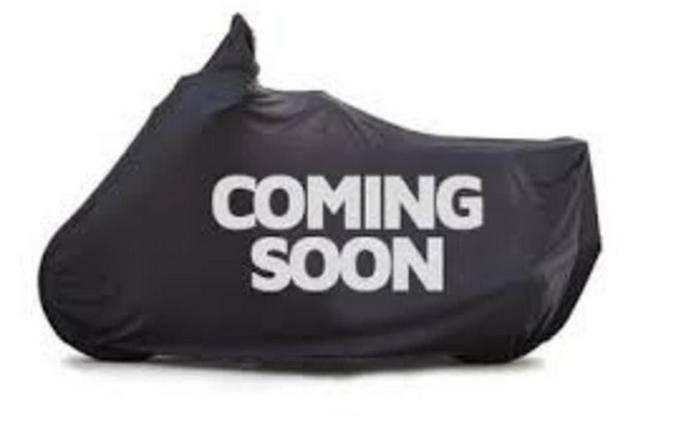 2004 Harley-Davidson Softail FLSTF - Fat Boy