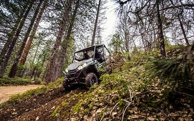 2018 Kawasaki Teryx LE