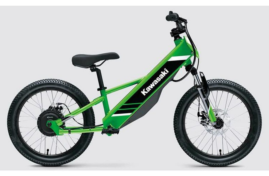 2025 ELEKTRODE® 20 - Kawasaki