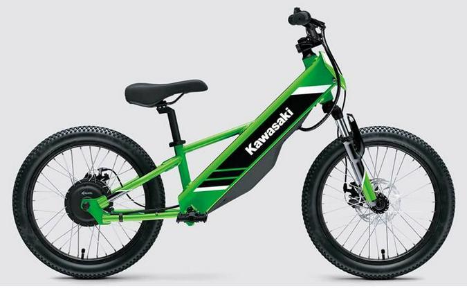 2025 ELEKTRODE® 20 - Kawasaki