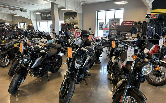 2025 Indian Motorcycle® Pursuit® Limited Springfield Blue