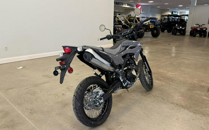 2025 Kawasaki KLX 230SM ABS