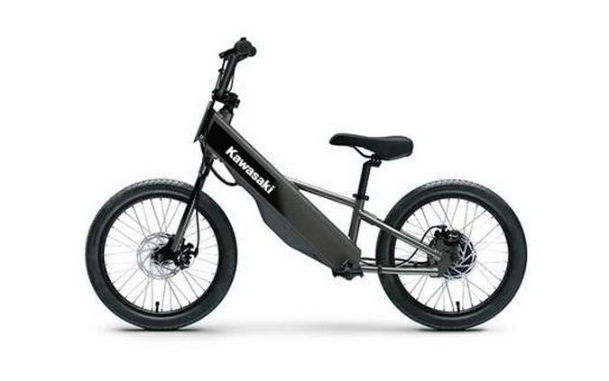 2025 ELEKTRODE® 20FS - Kawasaki