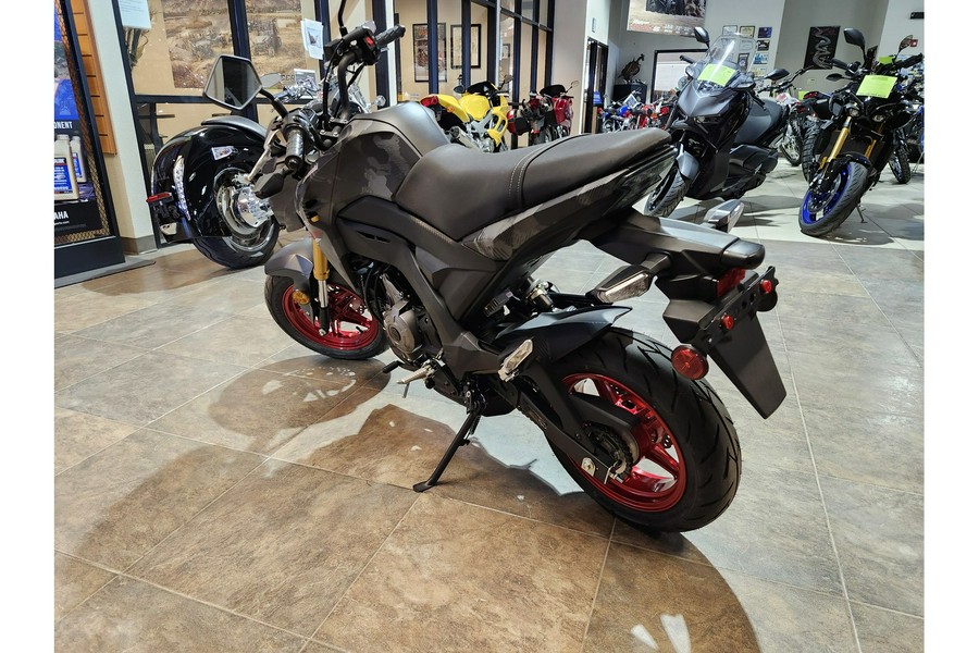 2024 Kawasaki Z125 PRO