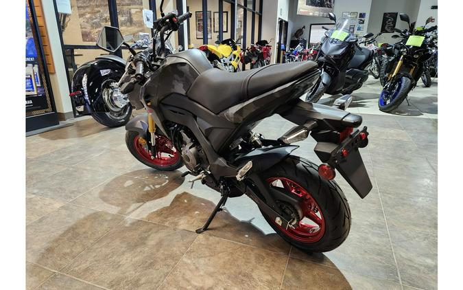 2024 Kawasaki Z125 PRO