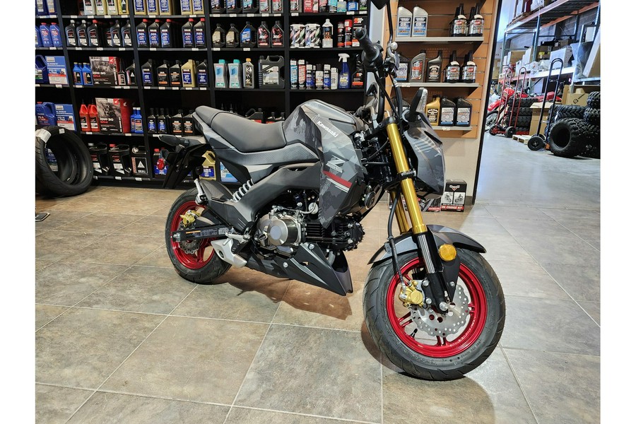 2024 Kawasaki Z125 PRO