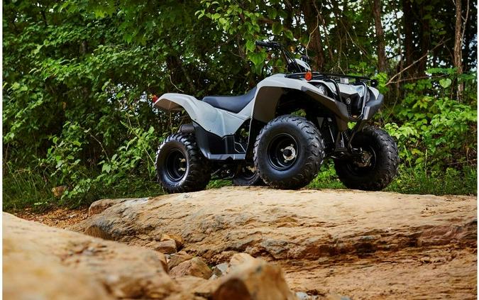 2022 Yamaha Grizzly 90