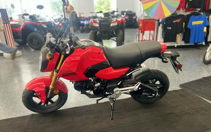 2025 Honda Grom