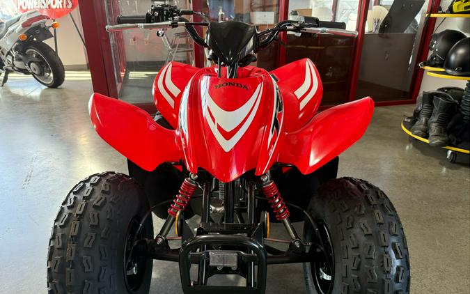 2025 Honda TRX90X