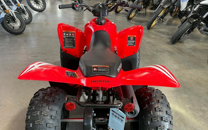 2025 Honda TRX90X