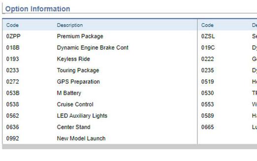 2020 BMW S 1000 XR Ice Grey