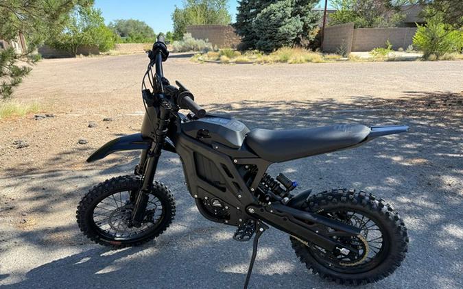 2026 ERIDE MINI R