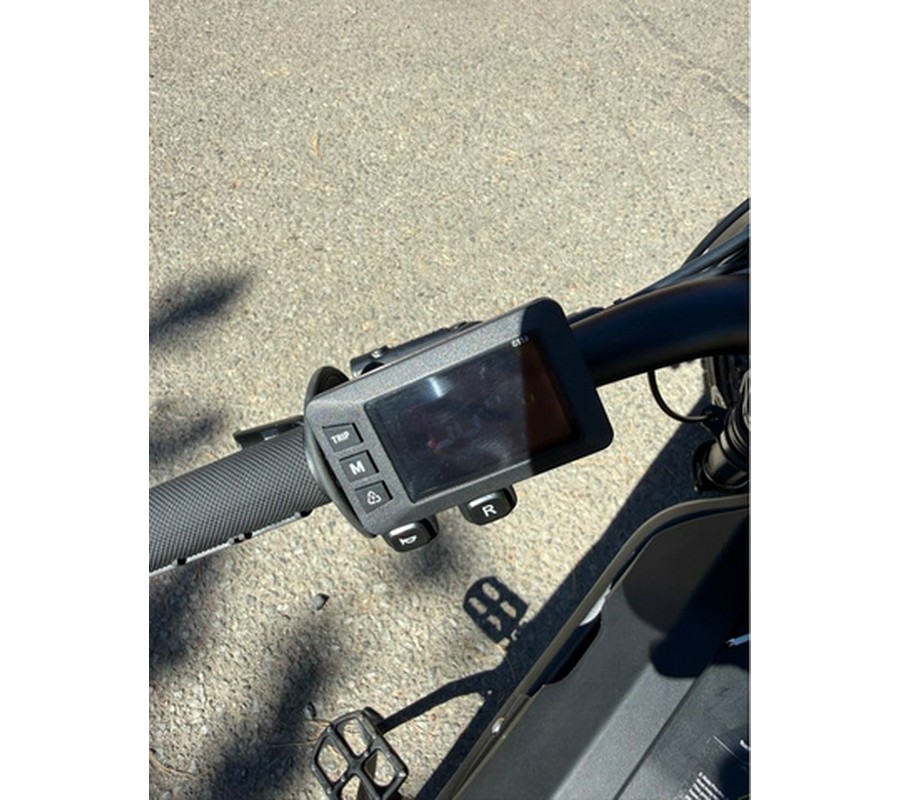 2026 ERIDE MINI R