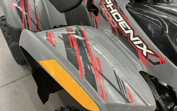 2021 Polaris® Phoenix® 200