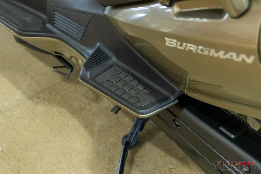 2008 Suzuki BURGMAN 650