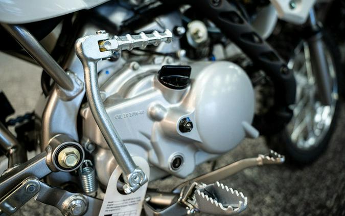 2026 Kawasaki KLX 110R