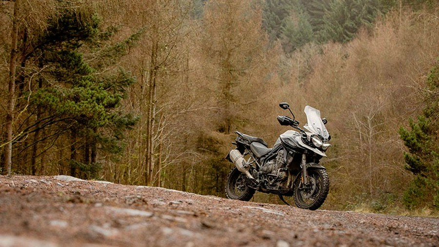 2020 Triumph Tiger 1200 Desert Edition