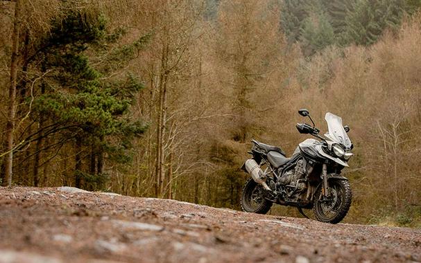 2020 Triumph Tiger 1200 Desert Edition