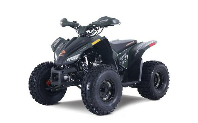 2026 Denago Powersports Trailhawk 10FI