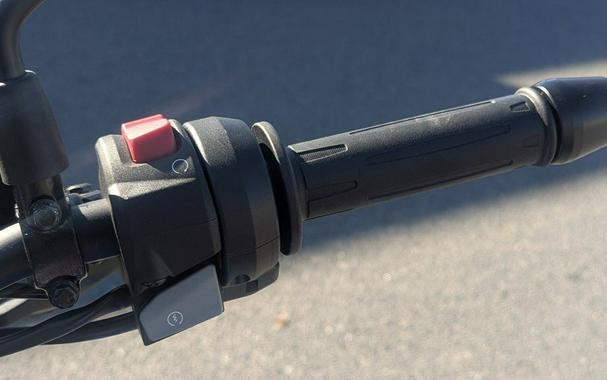 2025 BMW G 310 R Style Sport